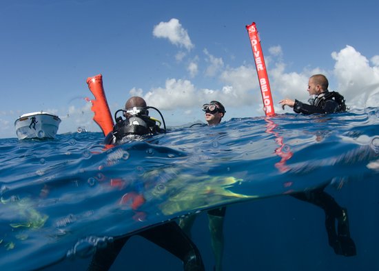 Kurs nurkowania online PADI Open Water Diver 4szkoła nurkowania kraków