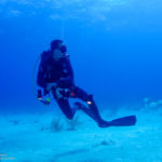 Nassau, Bahamy 179szkoła nurkowania kraków
