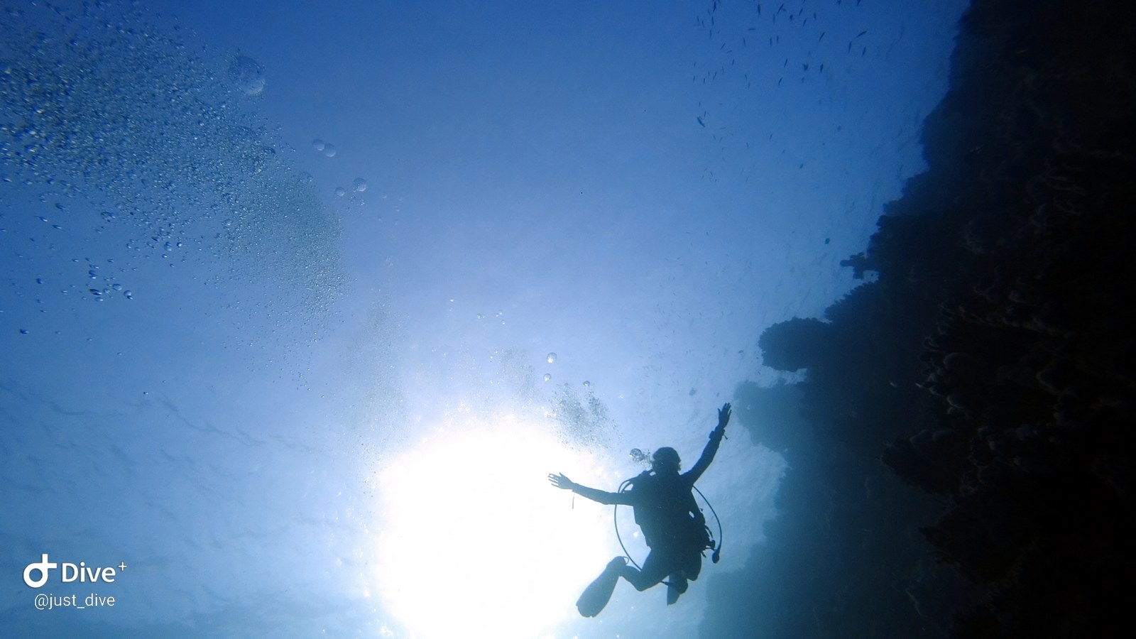Deepspot nurkowanie w najgłębszym basenie świata 3szkoła nurkowania kraków