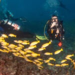 Malediwy 103szkoła nurkowania kraków