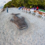 Malediwy 162szkoła nurkowania kraków