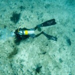 Malediwy 311szkoła nurkowania kraków
