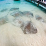 Malediwy 316szkoła nurkowania kraków