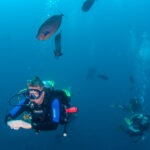 Malediwy 36szkoła nurkowania kraków