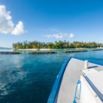 Malediwy 7szkoła nurkowania kraków