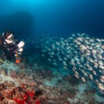 Malediwy 92szkoła nurkowania kraków