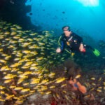 Malediwy 93szkoła nurkowania kraków