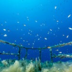 Cypr 54szkoła nurkowania kraków